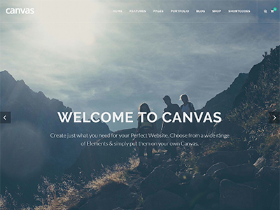 Canvas website theme preview